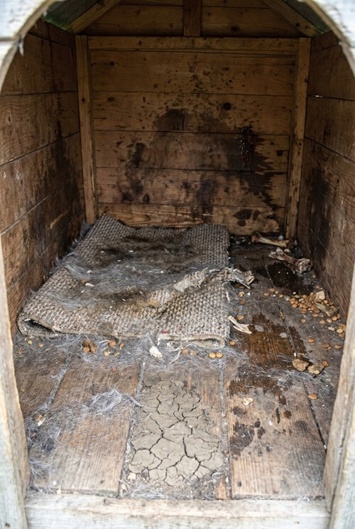 zanedbaná psí bouda 3v1 (1)